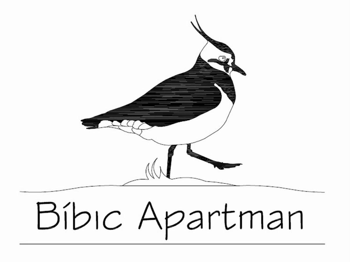 Bibic Apartman A Kapolnasnyek Zewnętrze zdjęcie