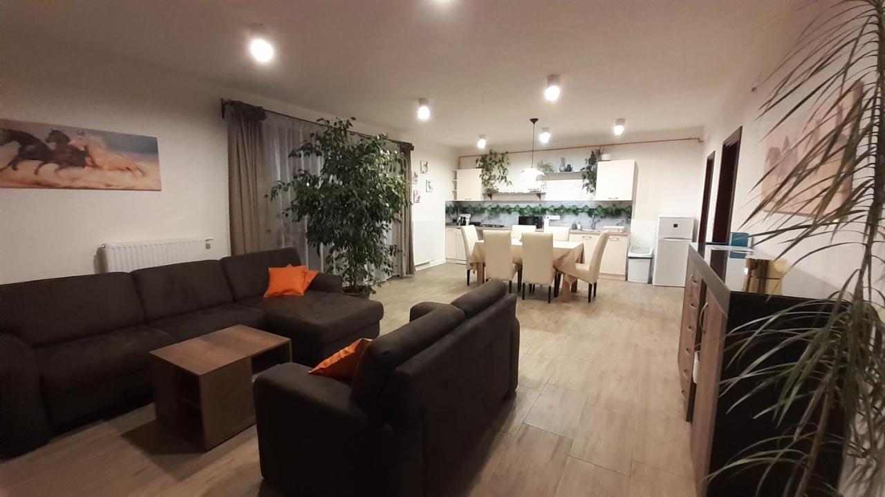 Bibic Apartman A Kapolnasnyek Zewnętrze zdjęcie