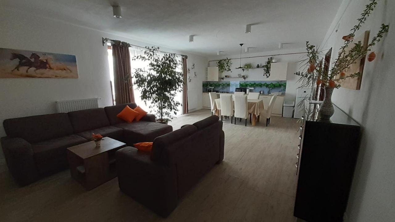 Bibic Apartman A Kapolnasnyek Zewnętrze zdjęcie