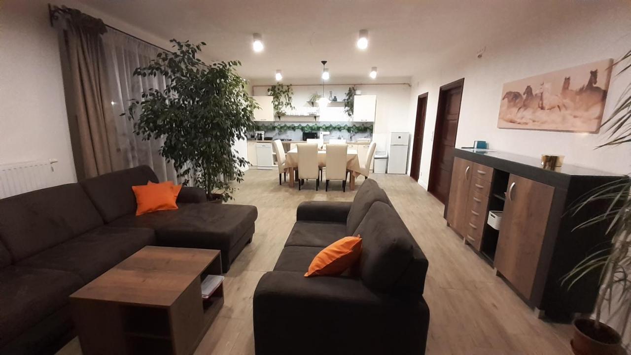 Bibic Apartman A Kapolnasnyek Zewnętrze zdjęcie